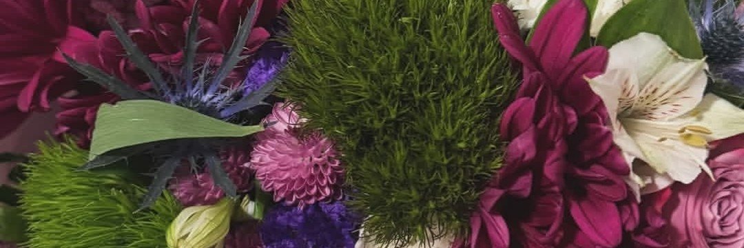 JanetRoseDavid1's profile banner image