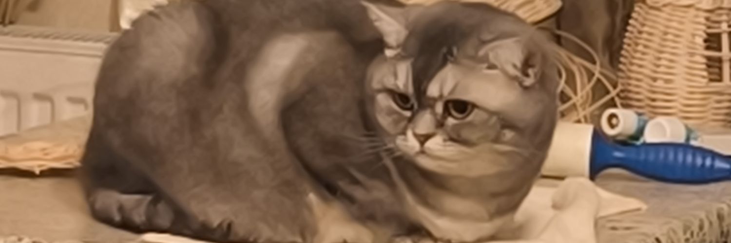 smmmscorpion's profile banner image