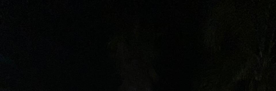 eleonoraaaadr's profile banner image