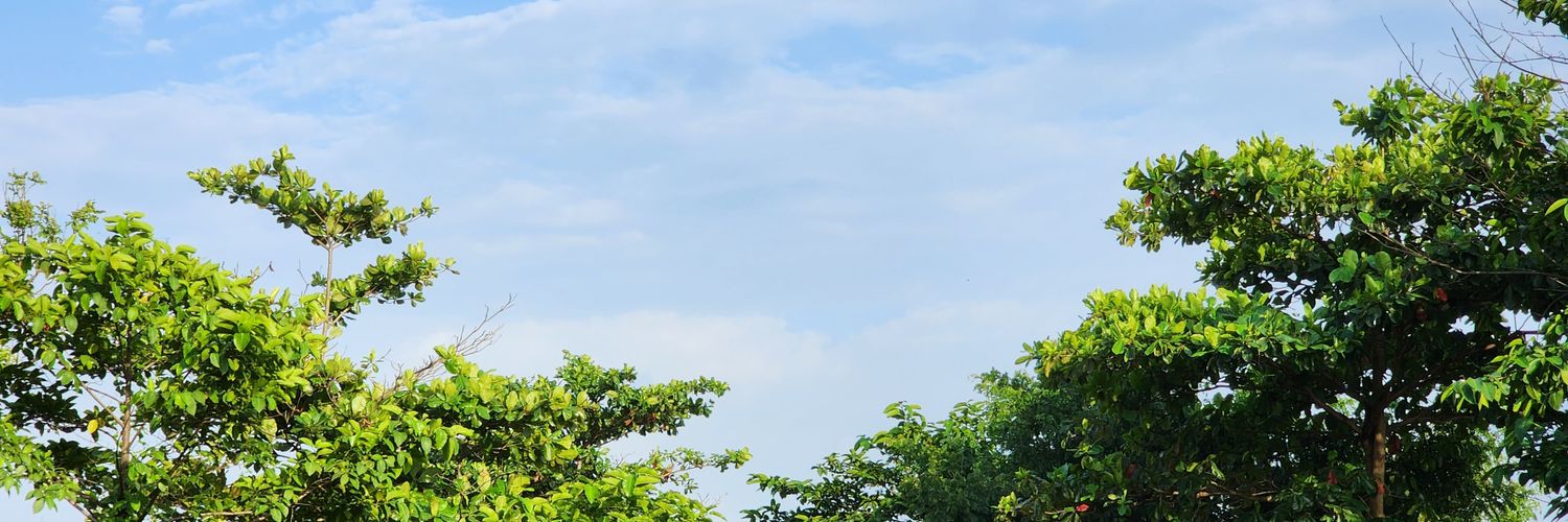 hariharr's profile banner image