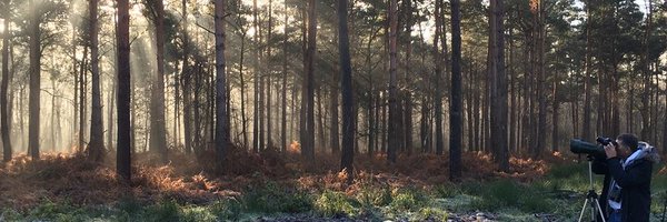 LeeEvansBirding Profile Banner