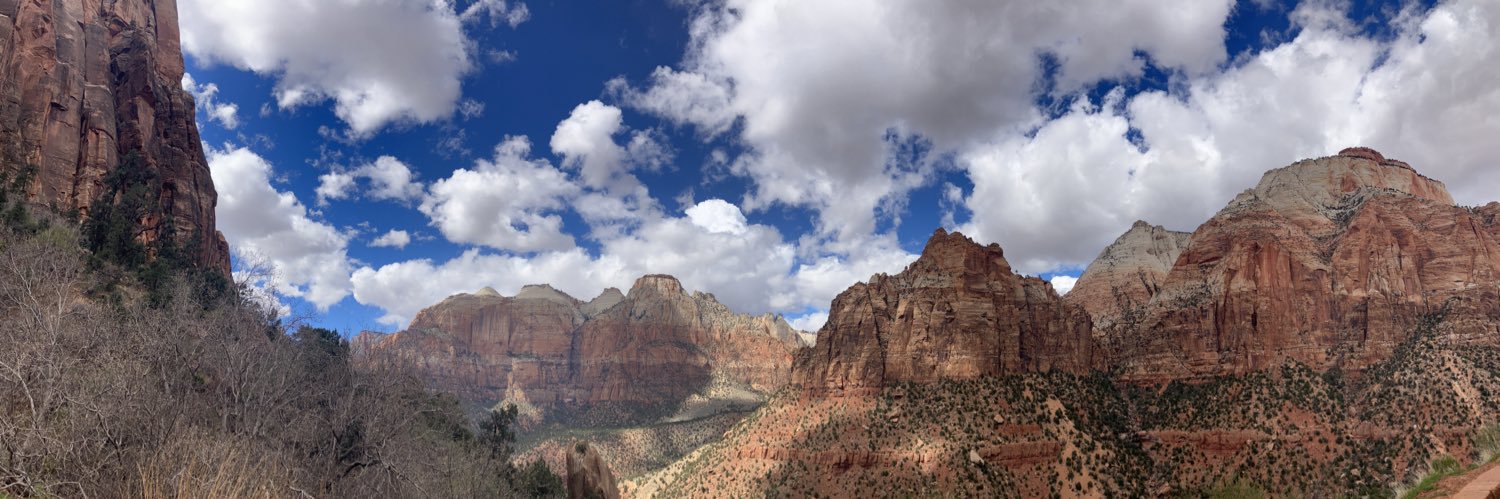 CW David Chang, MD, FACS banner