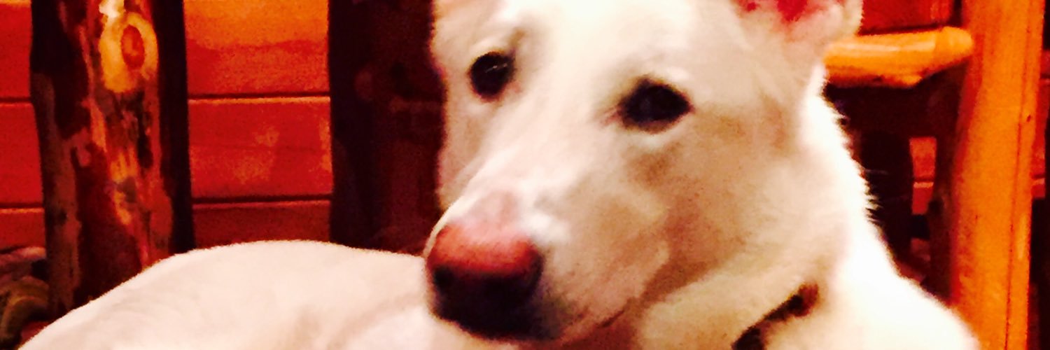 bemoonburger's profile banner image