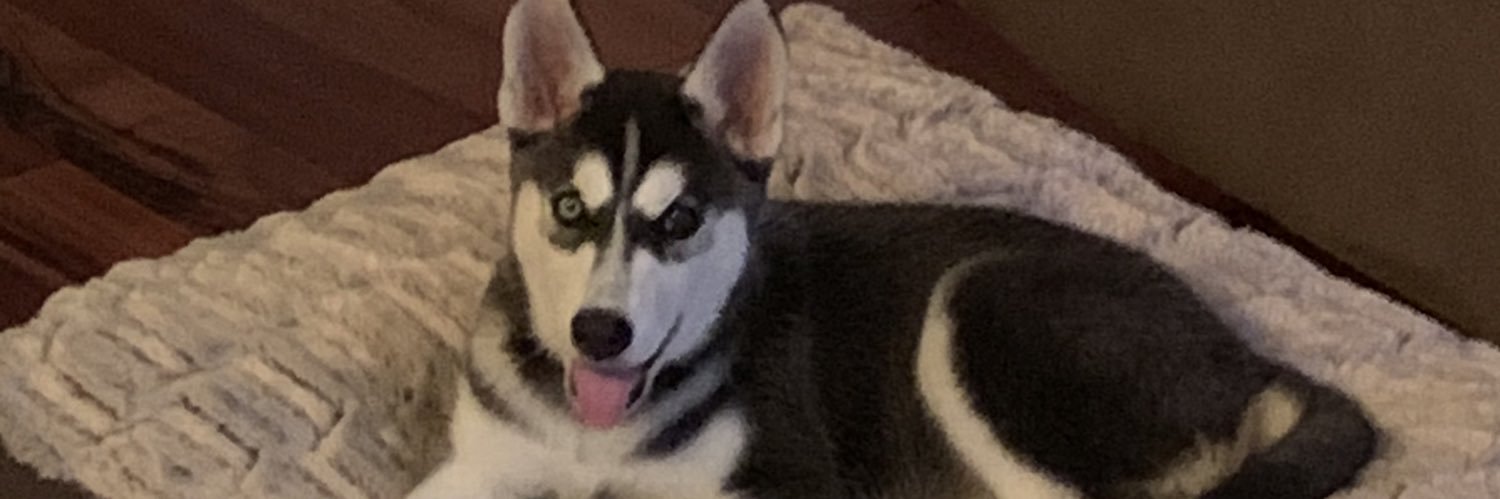 John_millss's profile banner image