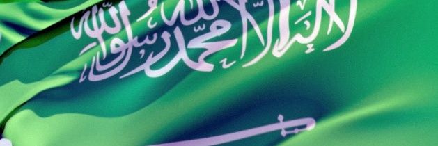 sayed12342's profile banner image