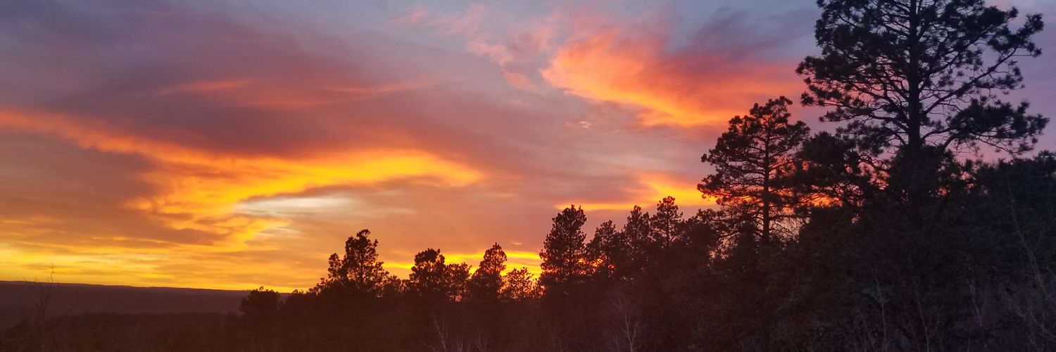 HolyCowCrap12's profile banner image