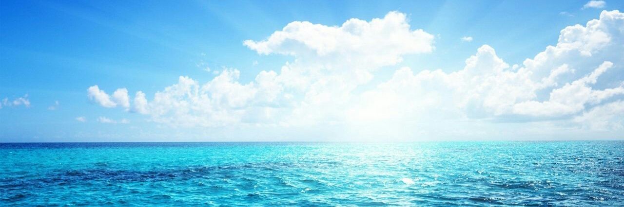 ExSharks's profile banner image