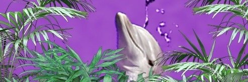mat_werry's profile banner image