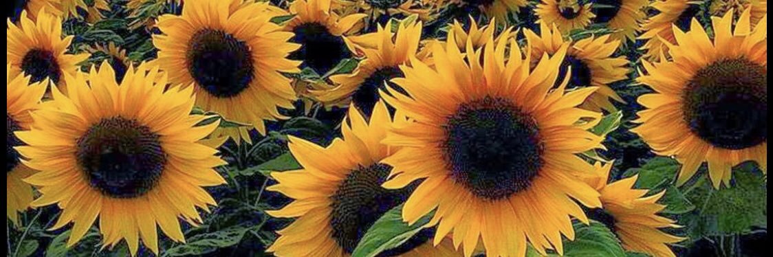 abrown0815's profile banner image