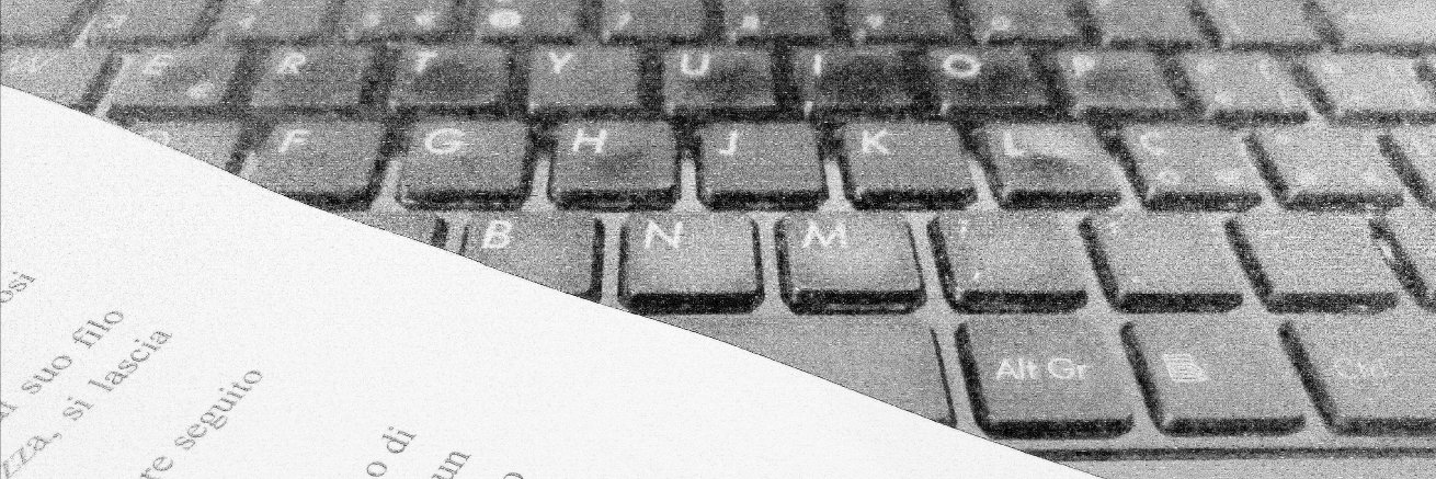 Elisa Cattaneo banner