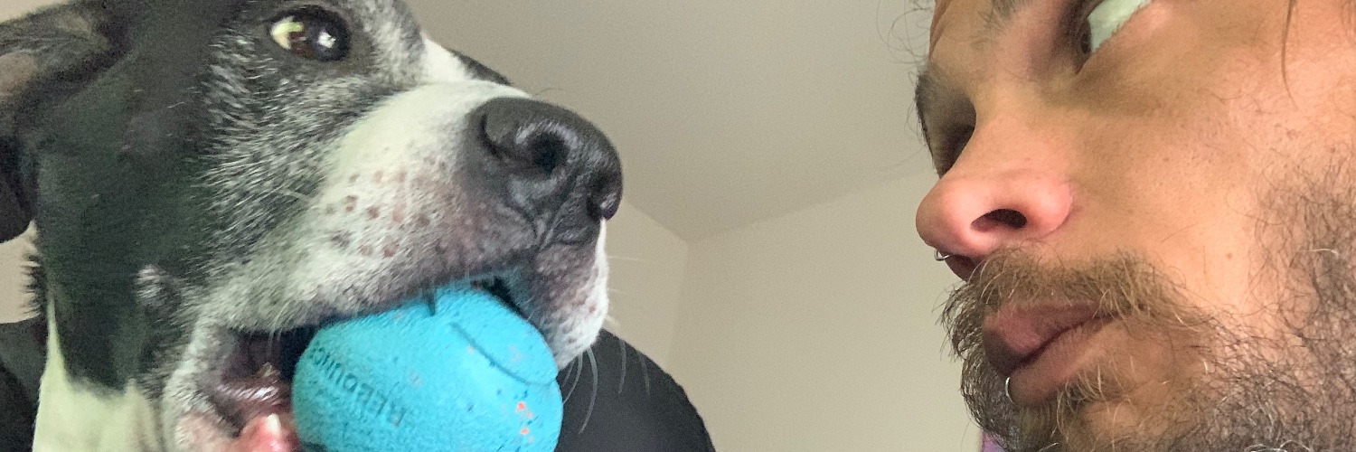 ZombieScorne's profile banner image