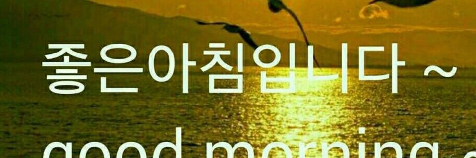 aa01064775175's profile banner image