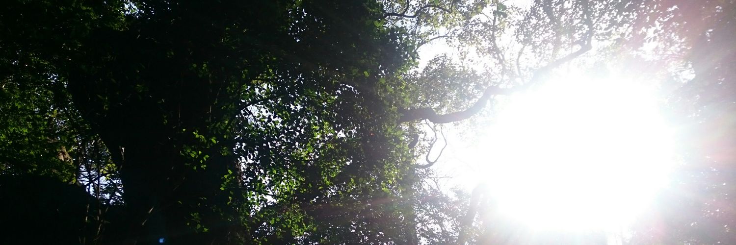 あだ吉 banner