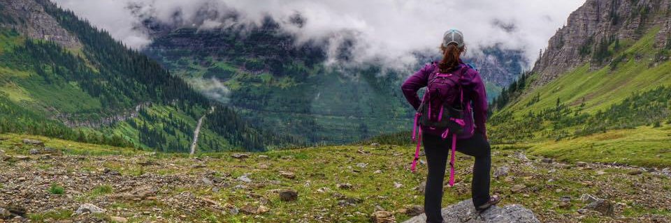 Sarah Barksdale banner