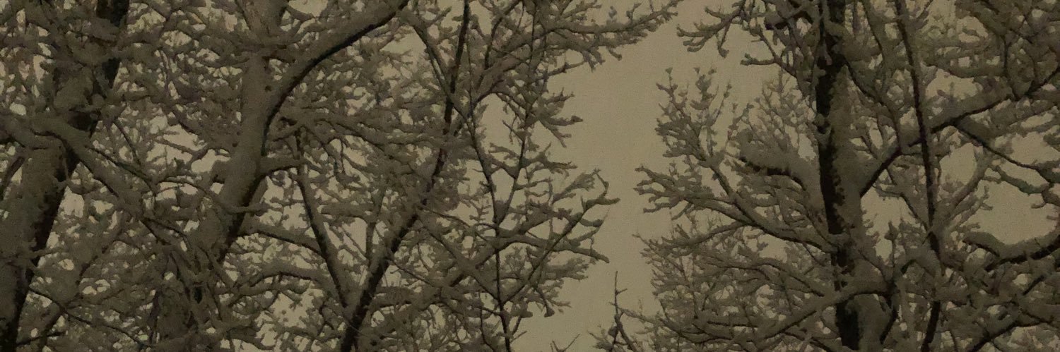 bking66's profile banner image