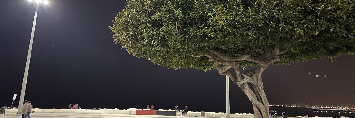 gozdee21's profile banner image