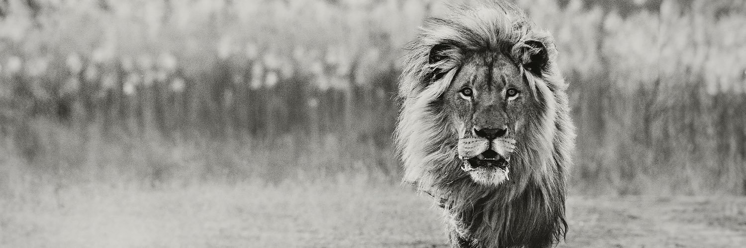 ع.ع.الشـايـع. banner