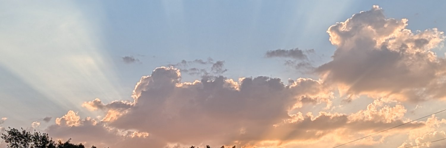 flempire's profile banner image