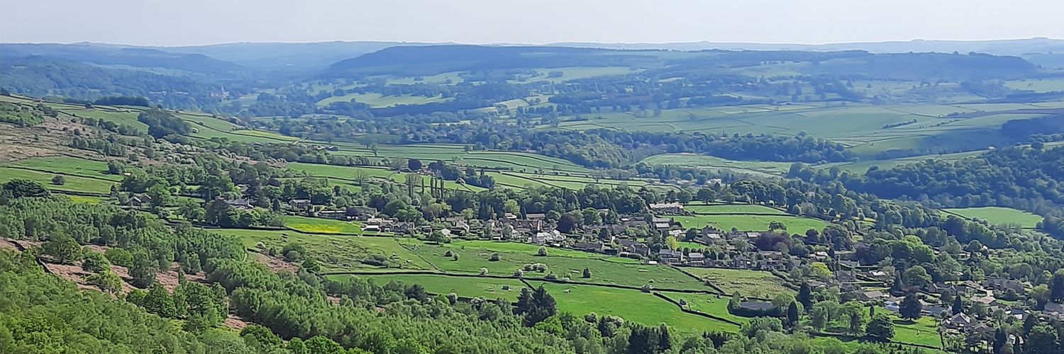 Paula Almeida banner