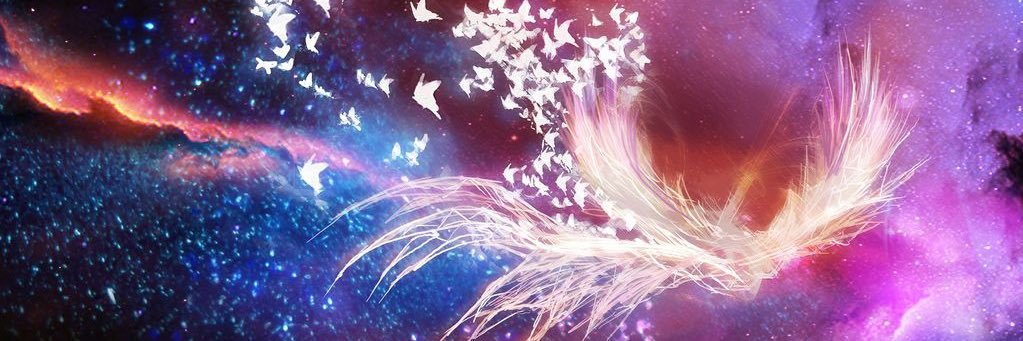 zinSAT's profile banner image