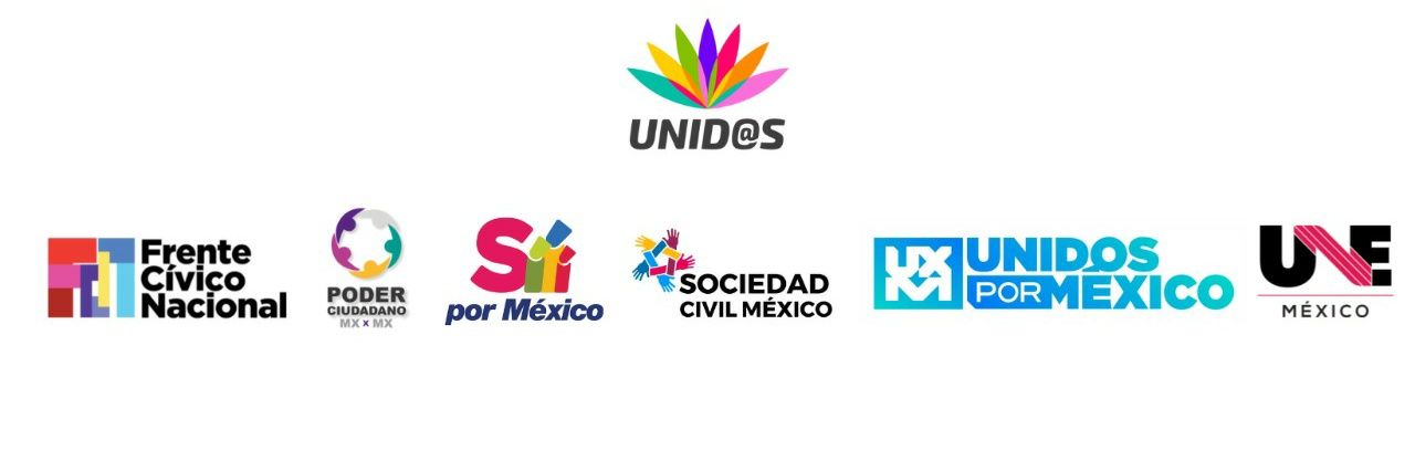 Ana Laura P. Mendoza banner