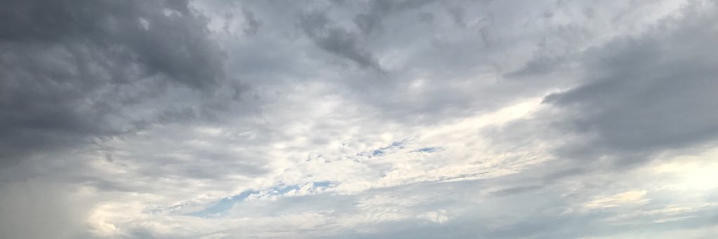 greendesignus's profile banner image