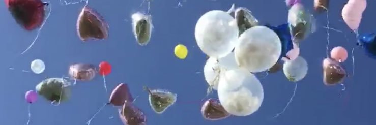 Sarah Simpson banner