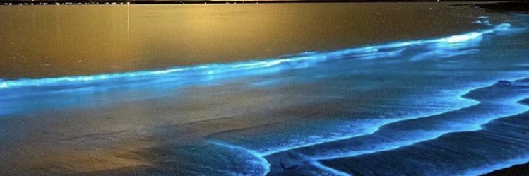 DAVEDADO78's profile banner image