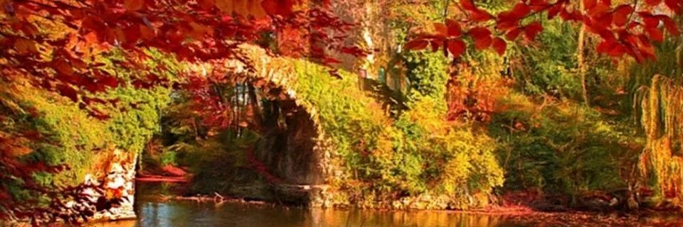 Alessandra Navetto banner