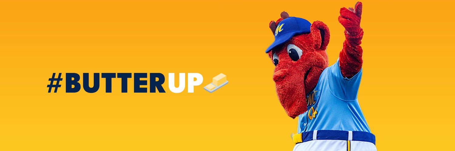 Montgomery Biscuits's banner