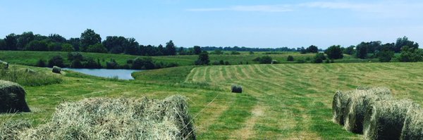 TheWittyFarmer Profile Banner