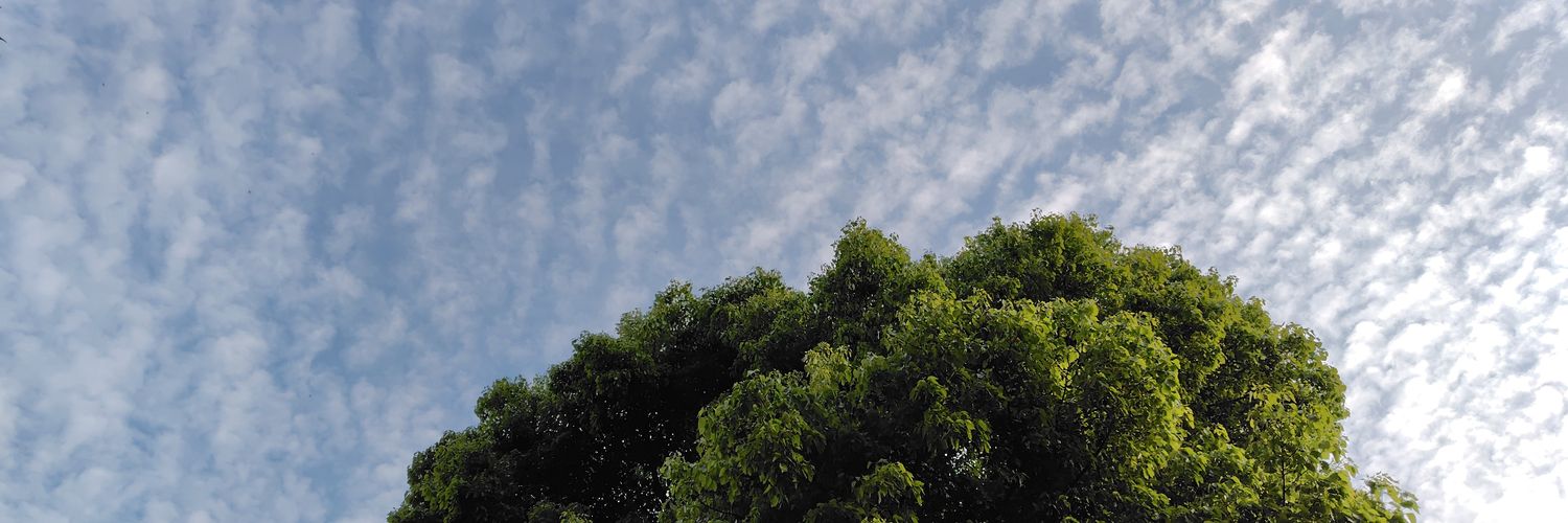 napparin's profile banner image