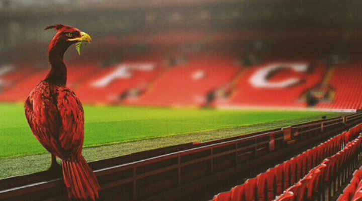 owervin's profile banner image