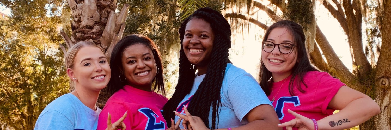 StLeo_Gammas's profile banner image