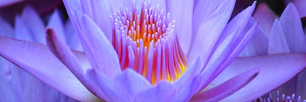 glennyoder_92 Profile Banner