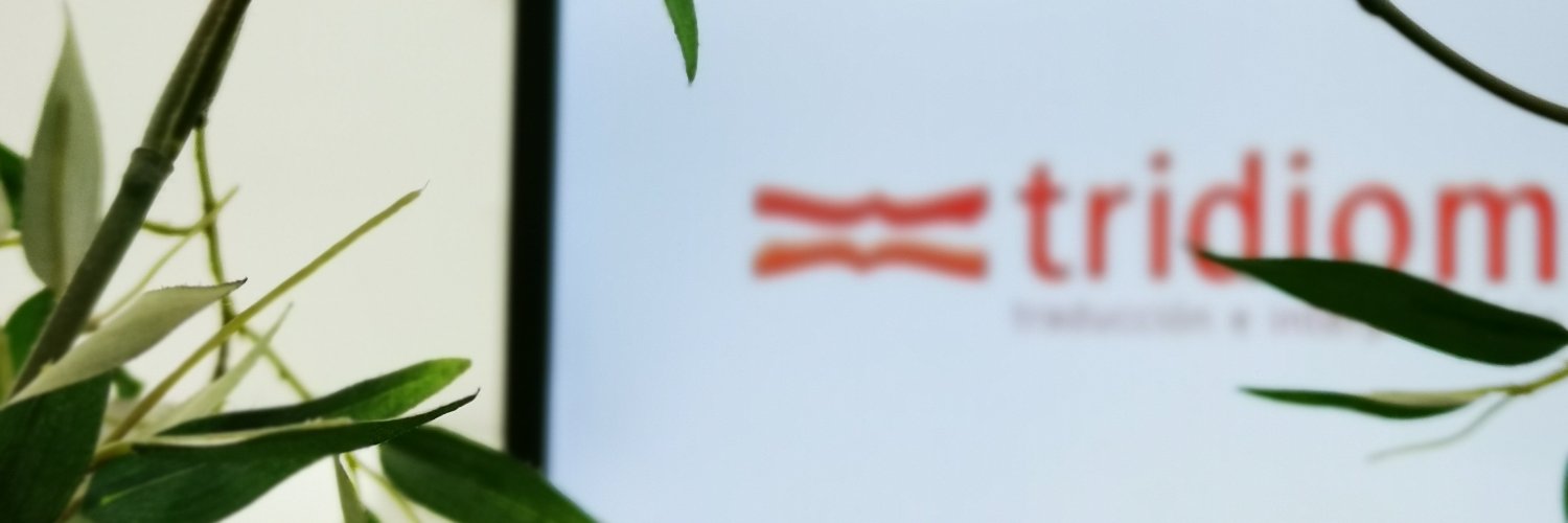 tridiom's profile banner image