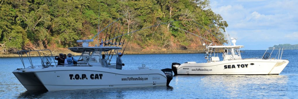 FishPanama's profile banner image