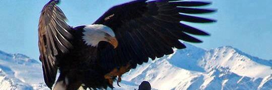 mikelwaite's profile banner image