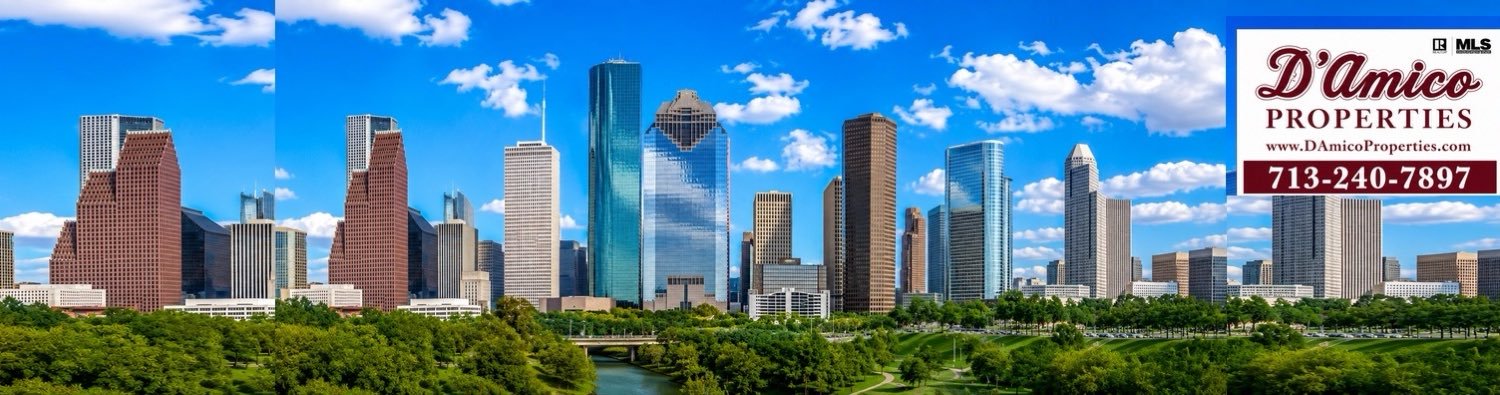 DamicoNHouston's profile banner image