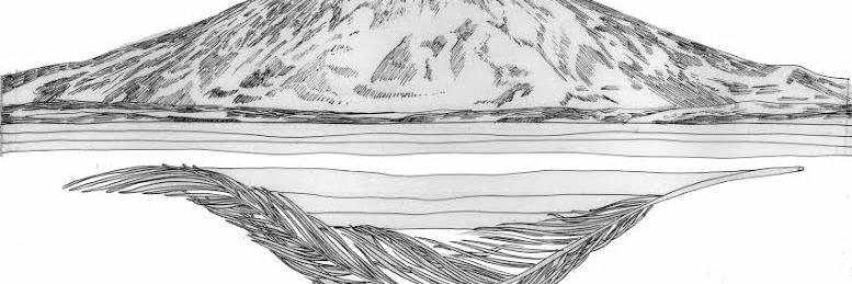 Bozhidar Pangelov banner