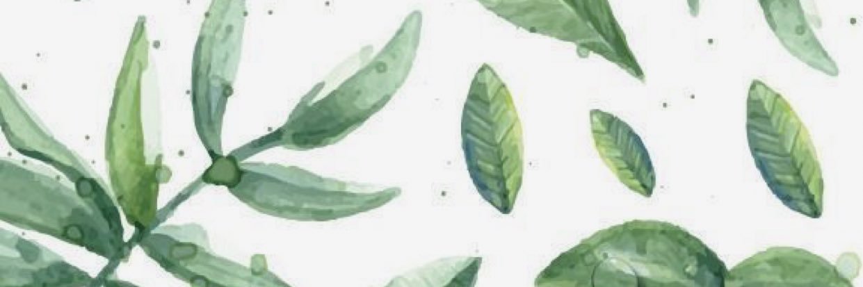 kellimollett's profile banner image
