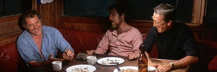 Ainhoa Cachazo 💙🇪🇸🇮🇱🇺🇦 banner