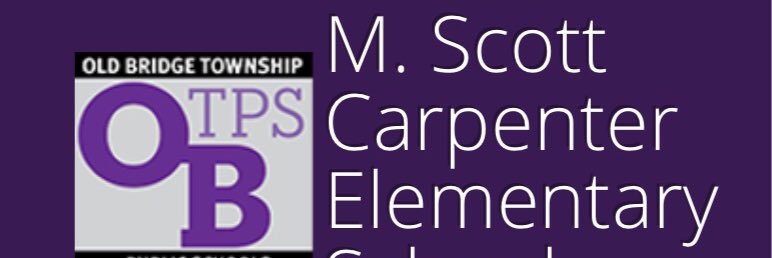 Mrs.Rosenblum’s 4th Grade Carpenter School banner
