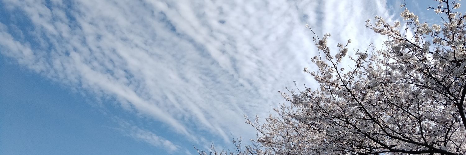 yuki_mucha's profile banner image