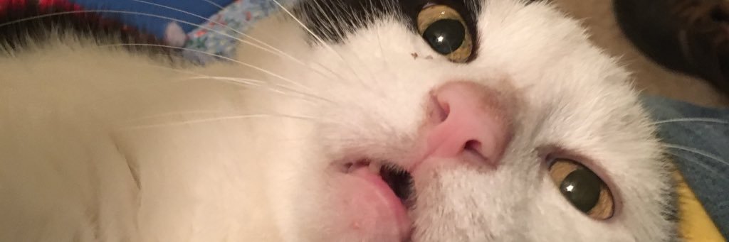 SDubas ☮️ (Black Lives Still Matter, ACAB) banner