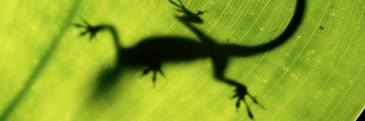 typing... banner