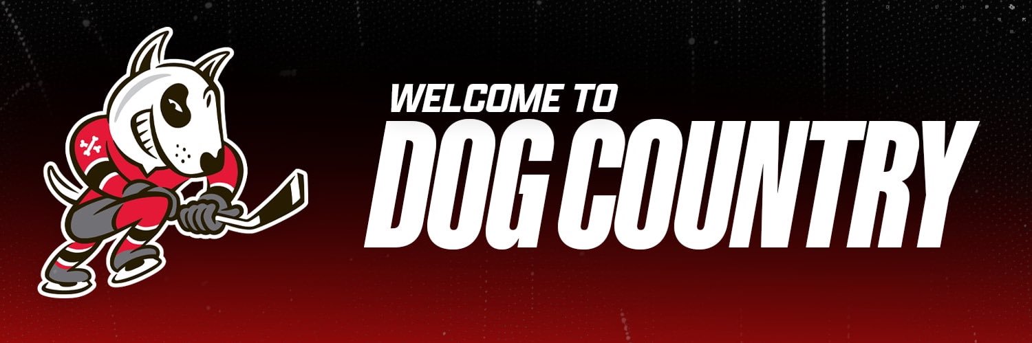 Niagara IceDogs's banner