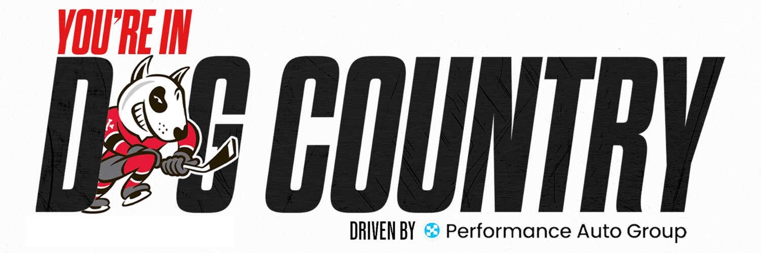 x-Niagara IceDogs banner