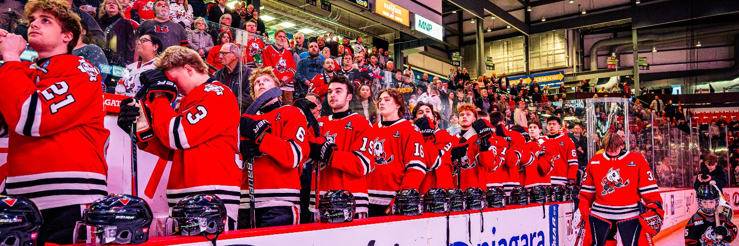 Niagara IceDogs banner