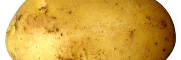 412_samereye's profile banner image